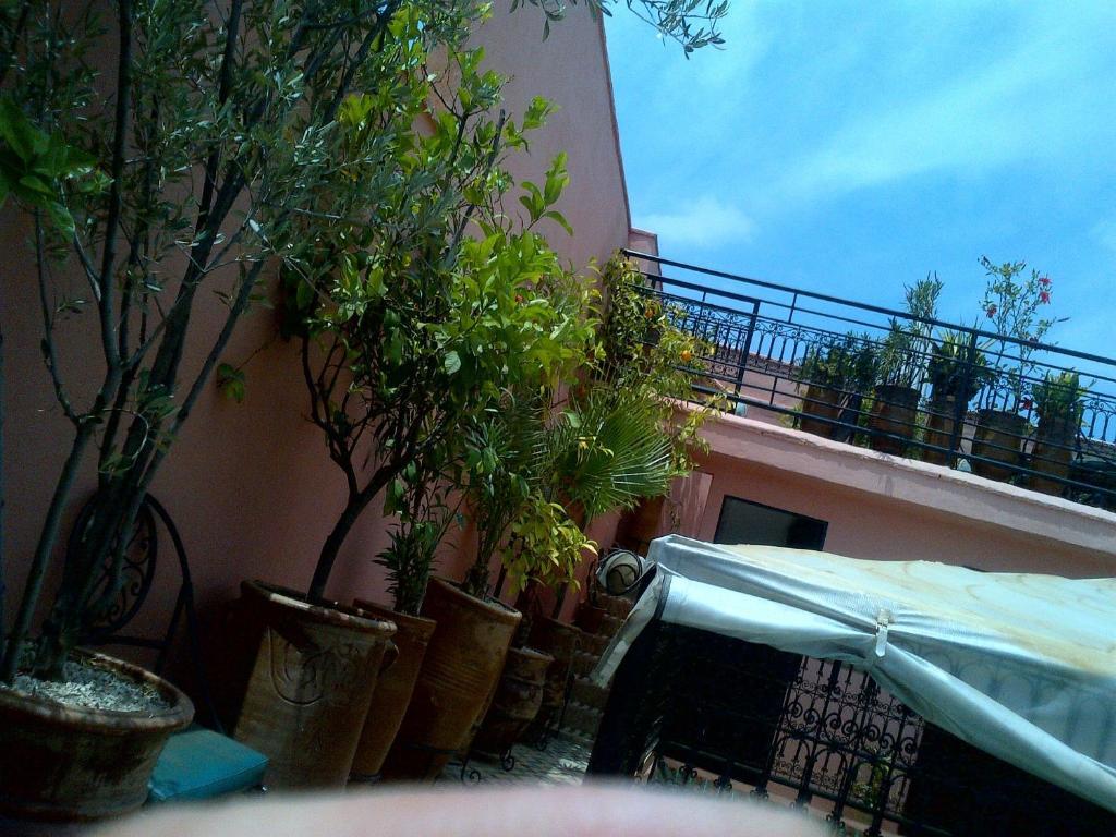 Riad Lila Marrakesh Luaran gambar